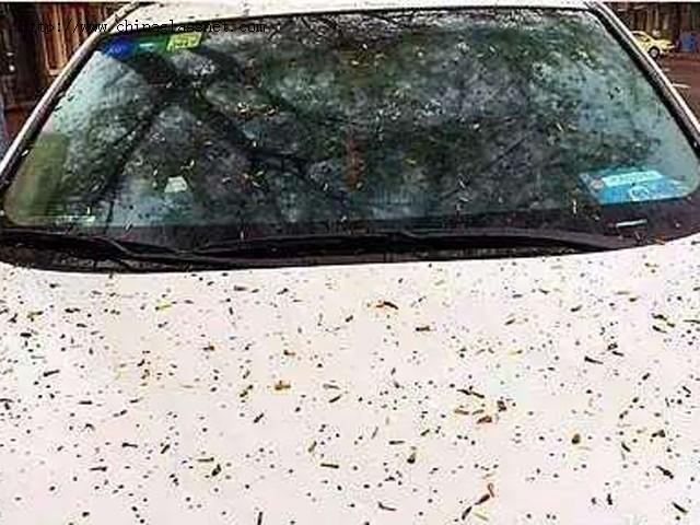 雨刮器刮不净玻璃 看不见的污物咋清除?