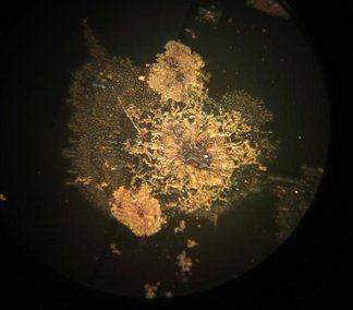 双银汗渍手指印 (2)