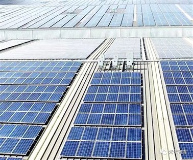 C:\Users\Administrator\Documents\WeChat Files\wxid_aydad6spfgtn22\FileStorage\Temp\a2cd92096477a0f8fc081089dd979baf.jpg