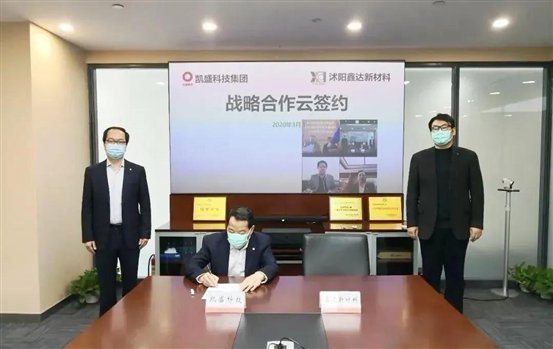 鑫达公司老总_脑叶公司(2)