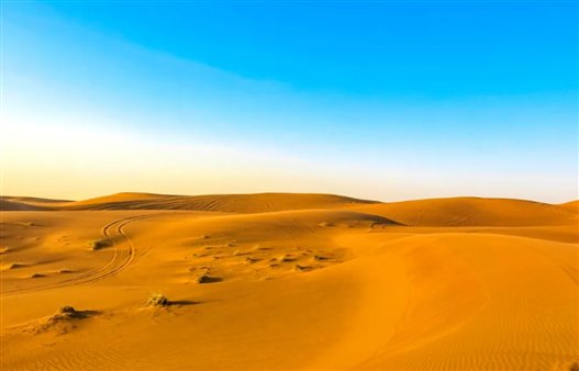 640_wx_fmt=jpeg&tp=webp&wxfrom=5&wx_lazy=1&wx_co=1.webp.jpg