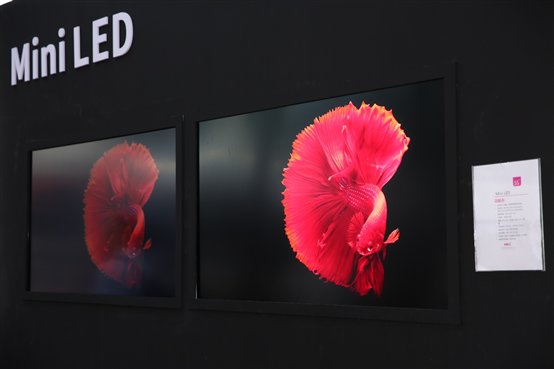 A group of red fish on a black wall

Description automatically generated